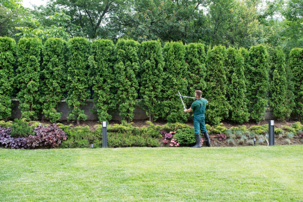 Best Lawn Watering Services  in Hunter, OH